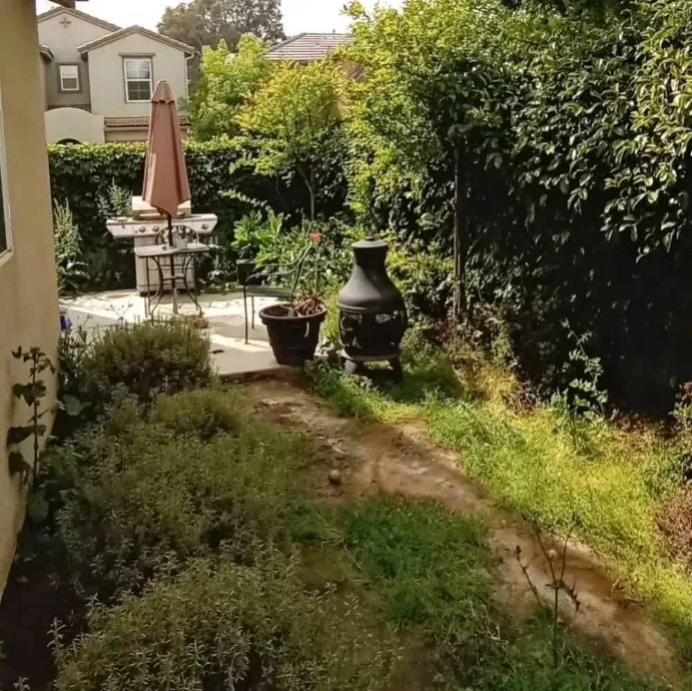 Top-rated residential landscaping in Fresno, CA by George's Lawn Care Services