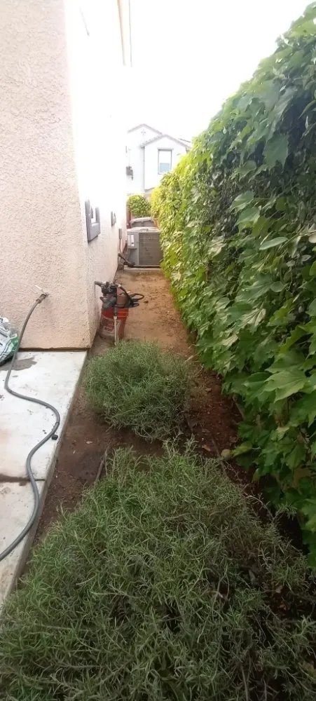 Reliable lawn mowing service near you in Fresno, CA by George's Lawn Care Services