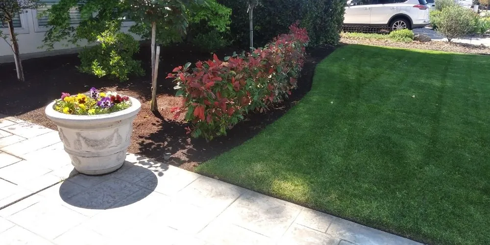 Top-rated landscape installation in Fresno, CA - George's Lawn Care Services