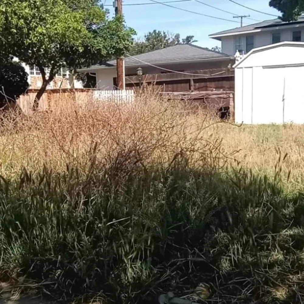 Professional residential landscaping experts serving Fresno, CA - George's Lawn Care Services