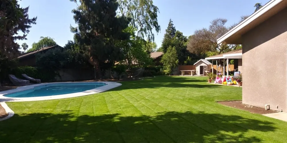 Local landscape design in Fresno, CA - George's Lawn Care Services