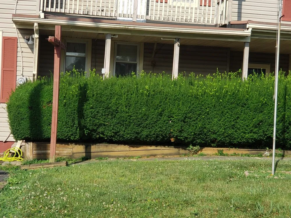 Reliable landscape installation experts serving York, PA - Georges Lawn Care