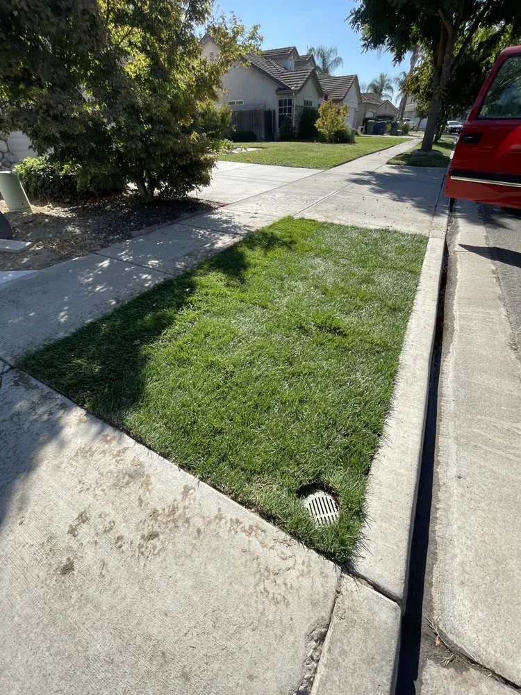 Top-rated residential landscaping experts serving Turlock, CA - George’s Lawn Maintenance
