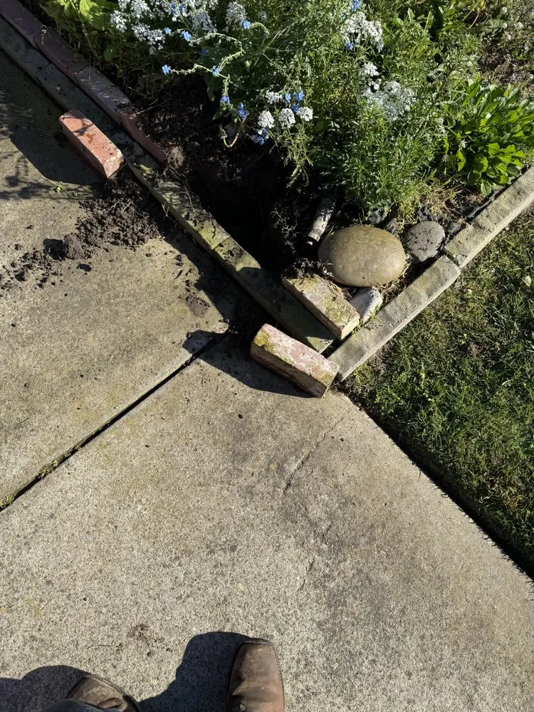 Expert lawn mowing service in Turlock, CA - George’s Lawn Maintenance