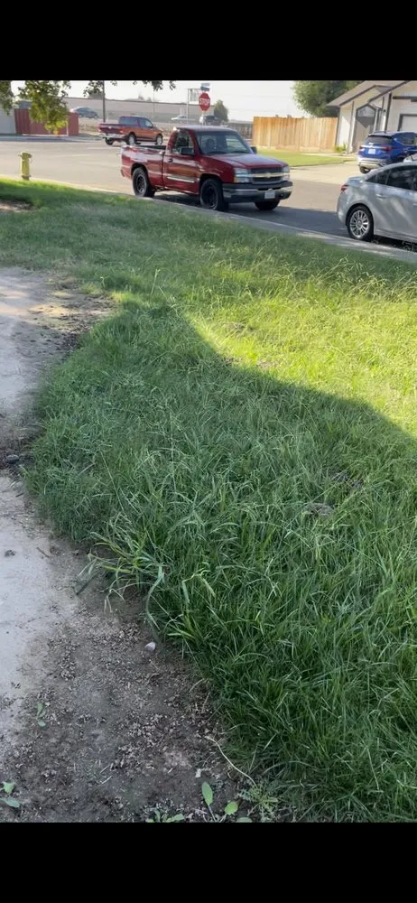 Trusted lawn care service in Turlock, CA - George’s Lawn Maintenance