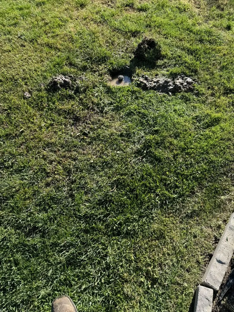 Local landscaping services with custom design in Turlock, CA by George’s Lawn Maintenance