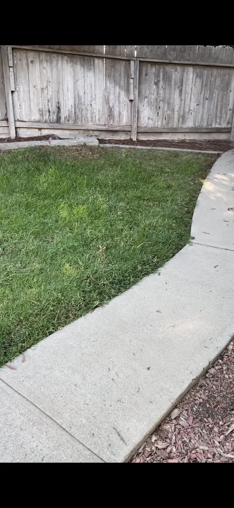 Top-rated lawn care service in Turlock, CA - George’s Lawn Maintenance