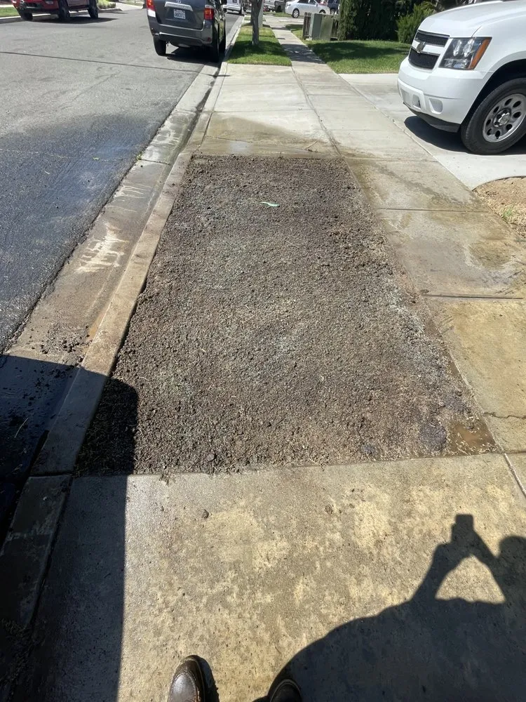 Trusted landscape design in Turlock, CA by George’s Lawn Maintenance