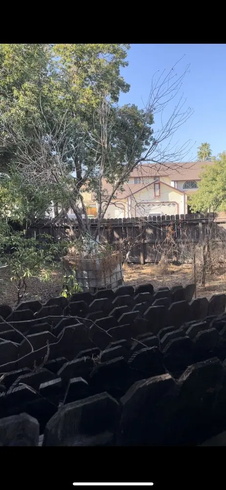 Local landscaping services for year-round maintenance across Turlock, CA - George’s Lawn Maintenance