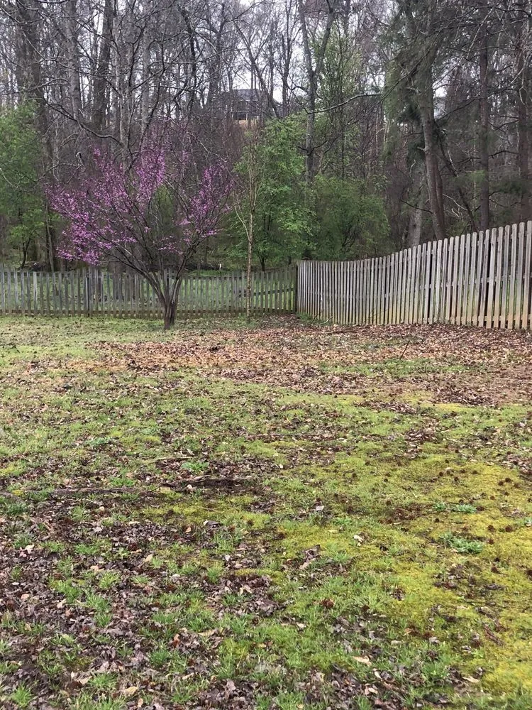 Reliable garden landscaping for homes in Oskaloosa, IA by George’s Lawncare