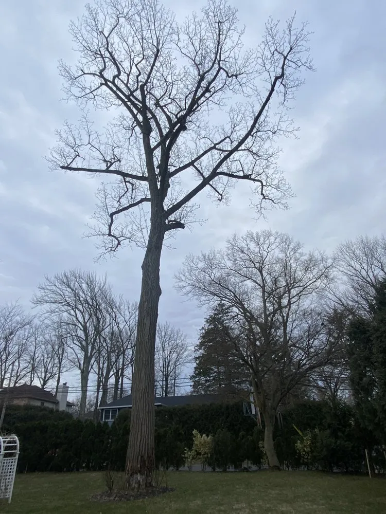 Trusted landscape design in Port Washington, NY by George’s Tree and Landscaping Services