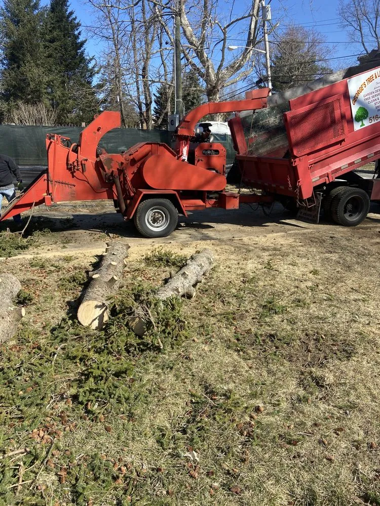 Custom lawn care service near you across Port Washington, NY - George’s Tree and Landscaping Services
