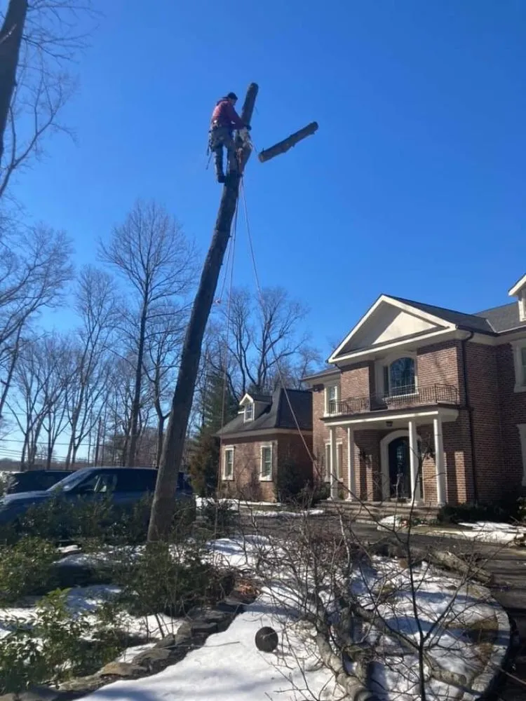 Local landscaping services for homes across Port Washington, NY - George’s Tree and Landscaping Services