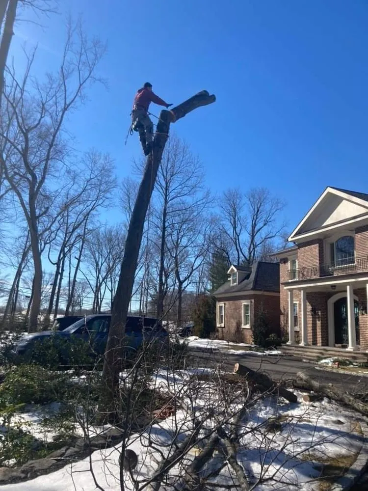 Trusted landscape installation experts serving Port Washington, NY - George’s Tree and Landscaping Services