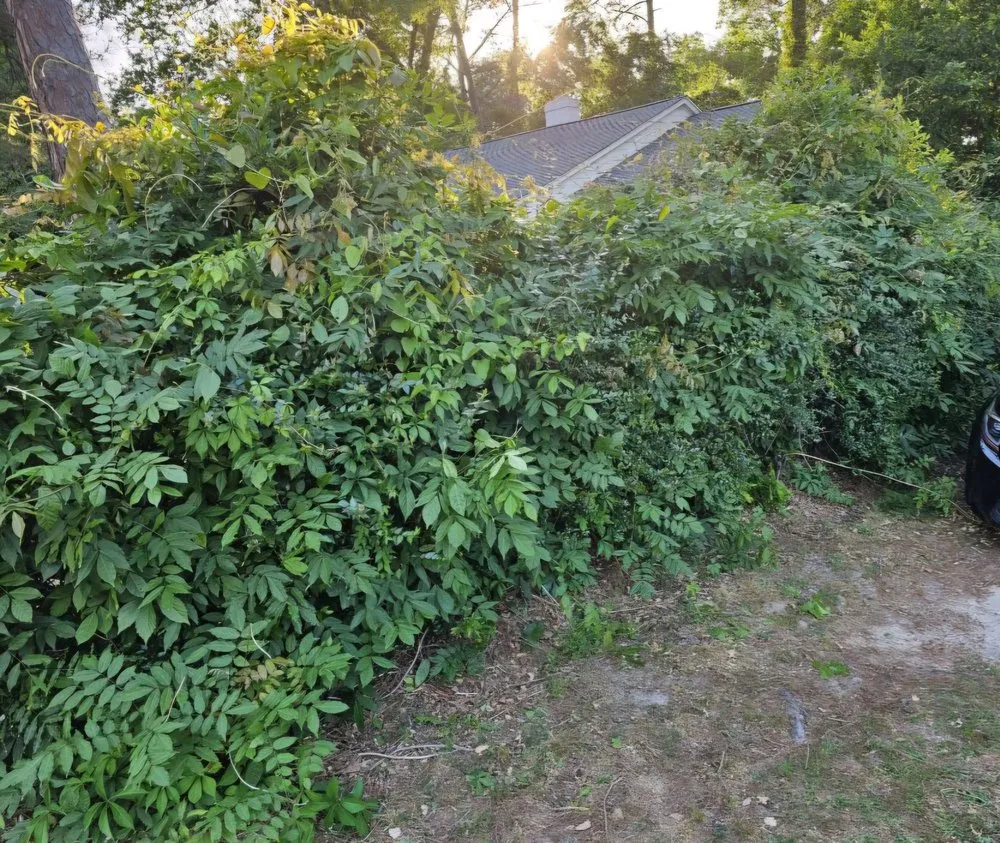 Reliable garden landscaping for beautiful yards in Lugoff, SC by George's Woodworks and Lawn Maintenance