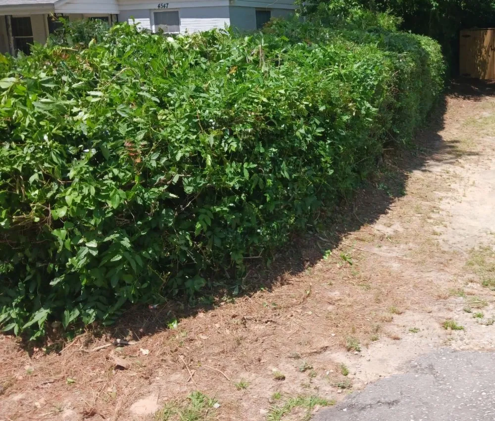 Reliable garden landscaping with custom design across Lugoff, SC - George's Woodworks and Lawn Maintenance