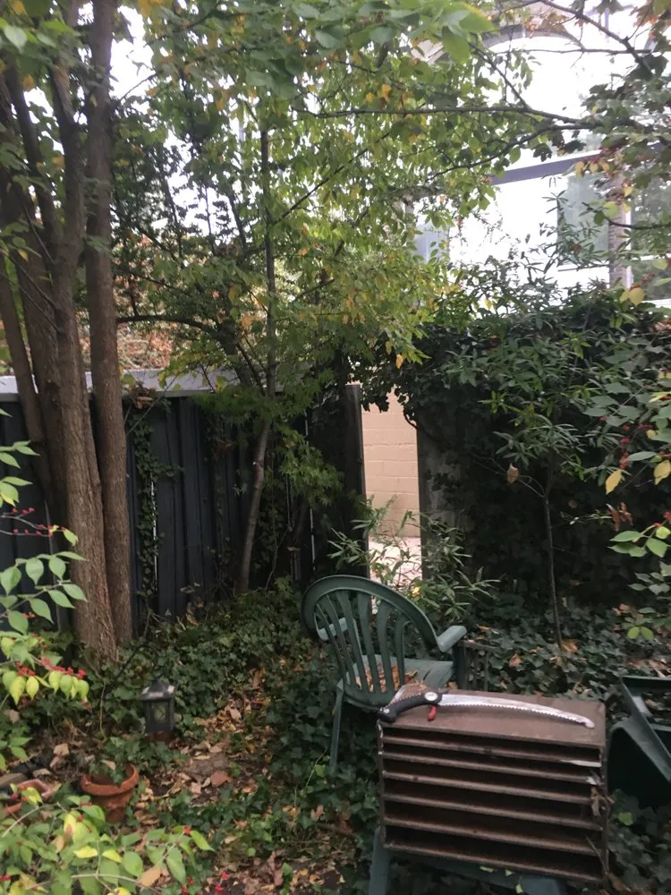 Affordable landscaping services with custom design across Fairfax, VA - Georgetown Fine Pruning and Tree Care