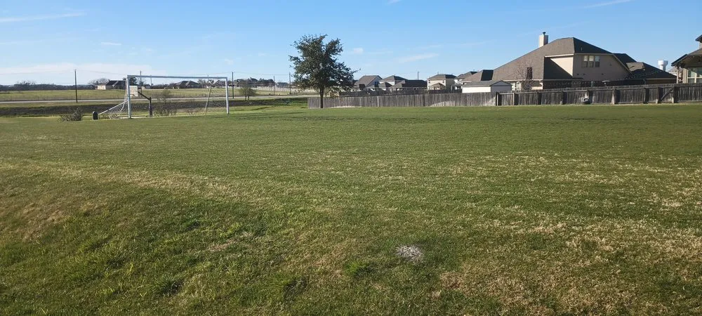 Custom landscape design in Georgetown, TX - Georgetown Landscaping