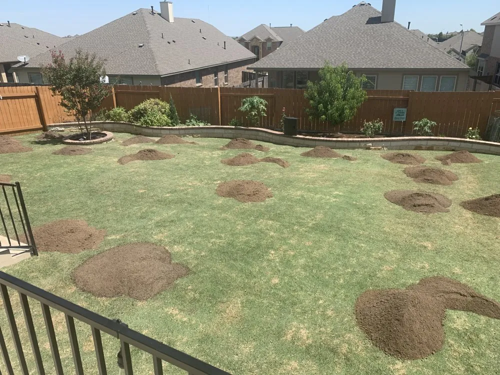 Reliable landscape design for year-round maintenance in Georgetown, TX by Georgetown Lawn Leveling
