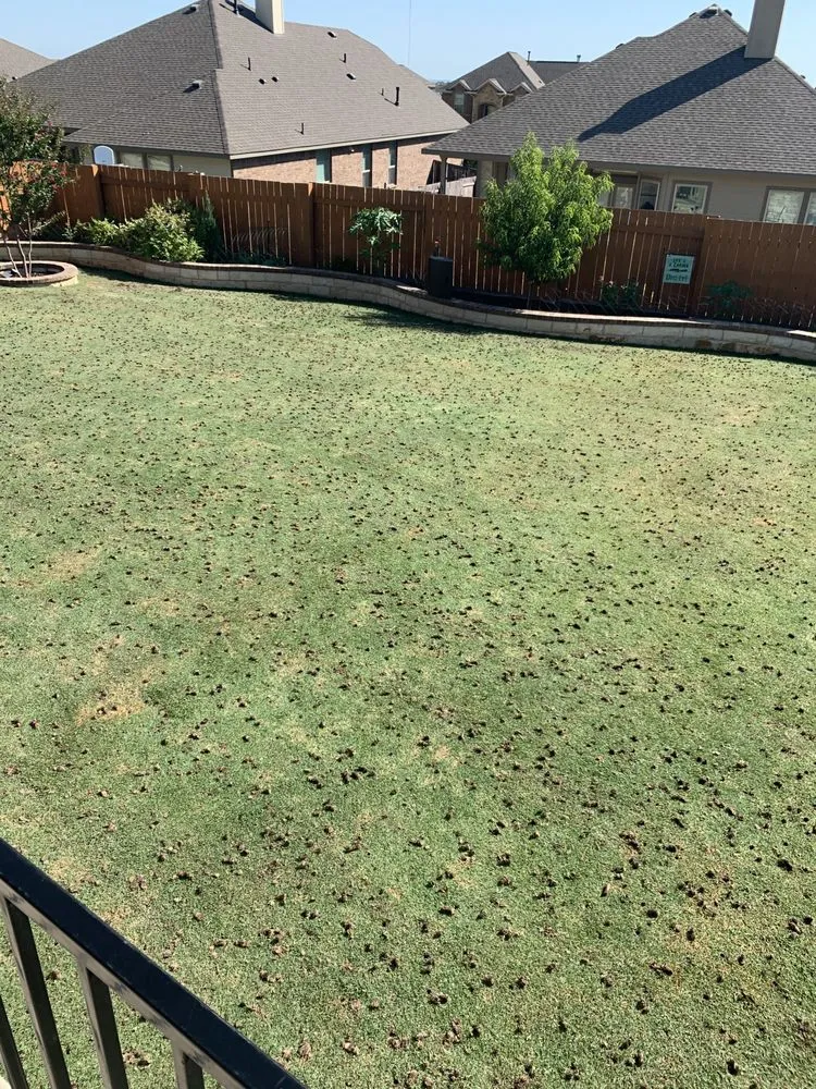 Top-rated lawn mowing service in Georgetown, TX by Georgetown Lawn Leveling