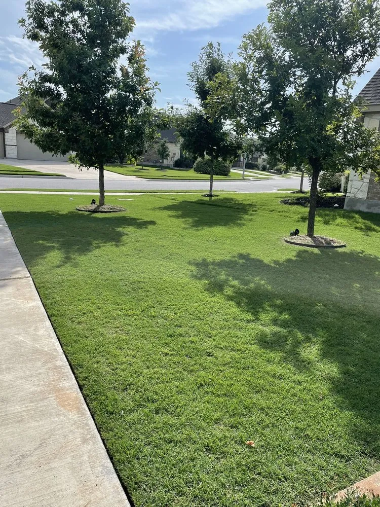 Local yard cleanup service near you across Georgetown, TX - Georgetown Lawn Leveling