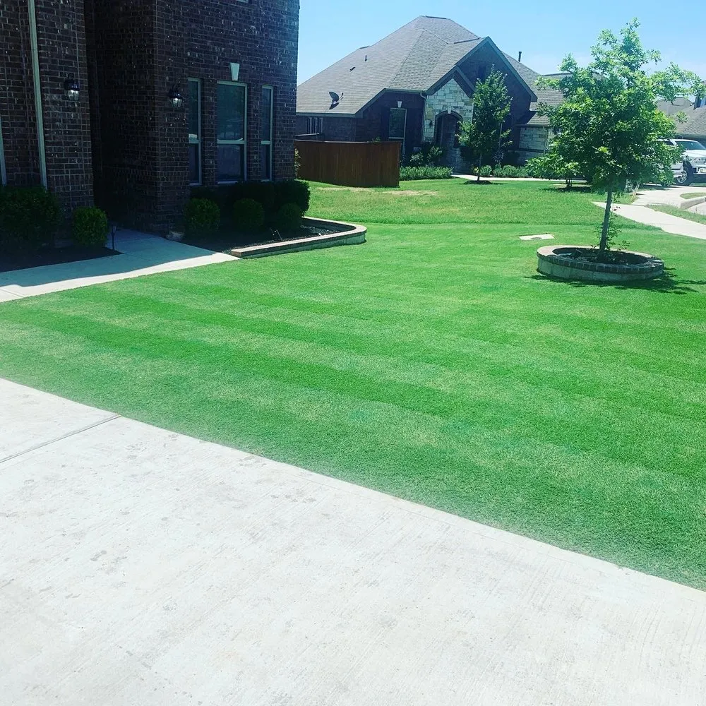Local landscape design in Georgetown, TX - Georgetown Lawn Leveling