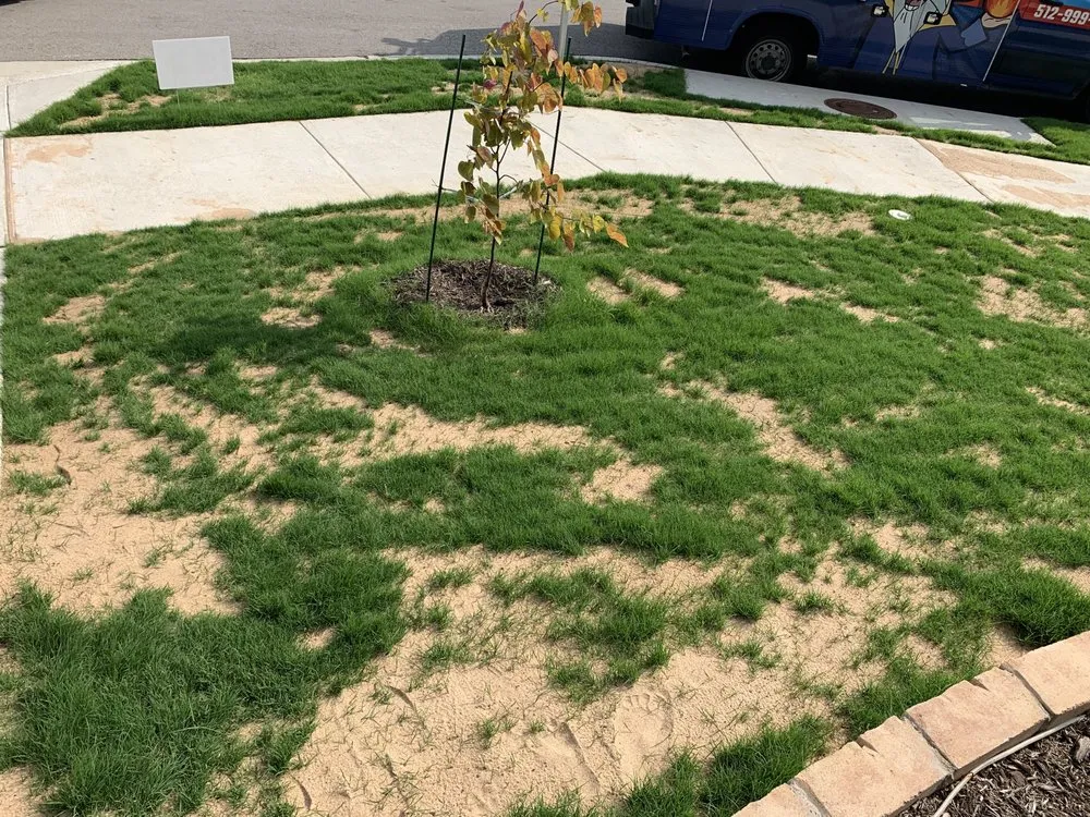 Trusted outdoor landscaping in Georgetown, TX - Georgetown Lawn Leveling