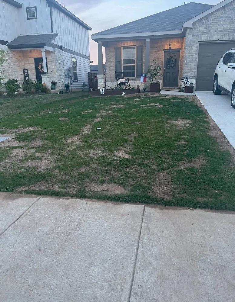 Top-rated yard maintenance in Georgetown, TX by Georgetown Lawn Leveling
