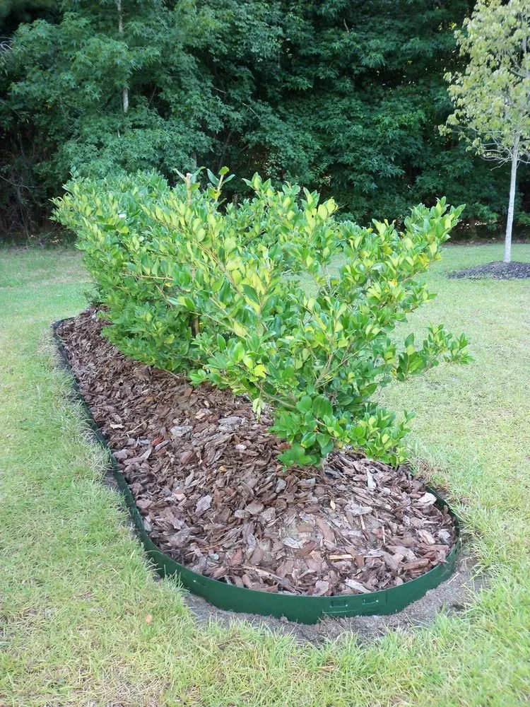 Professional landscaping services near you across Georgetown, SC - Georgetown SC Landscaping