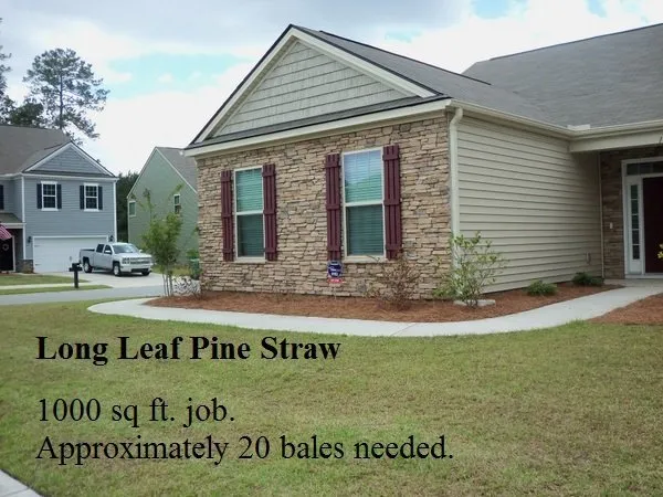 Custom outdoor landscaping in Georgetown, SC - Georgetown SC Landscaping