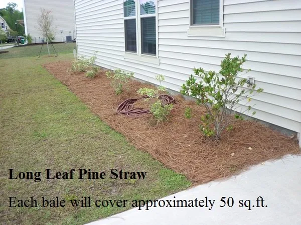 Reliable residential landscaping for residential properties in Georgetown, SC by Georgetown SC Lawn Care