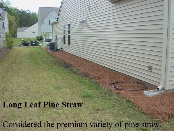 Top-rated landscape installation experts serving Georgetown, SC - Georgetown SC Lawn Care