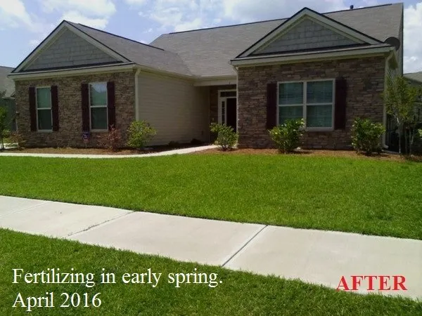 Professional outdoor landscaping experts serving Georgetown, SC - Georgetown SC Lawn Care
