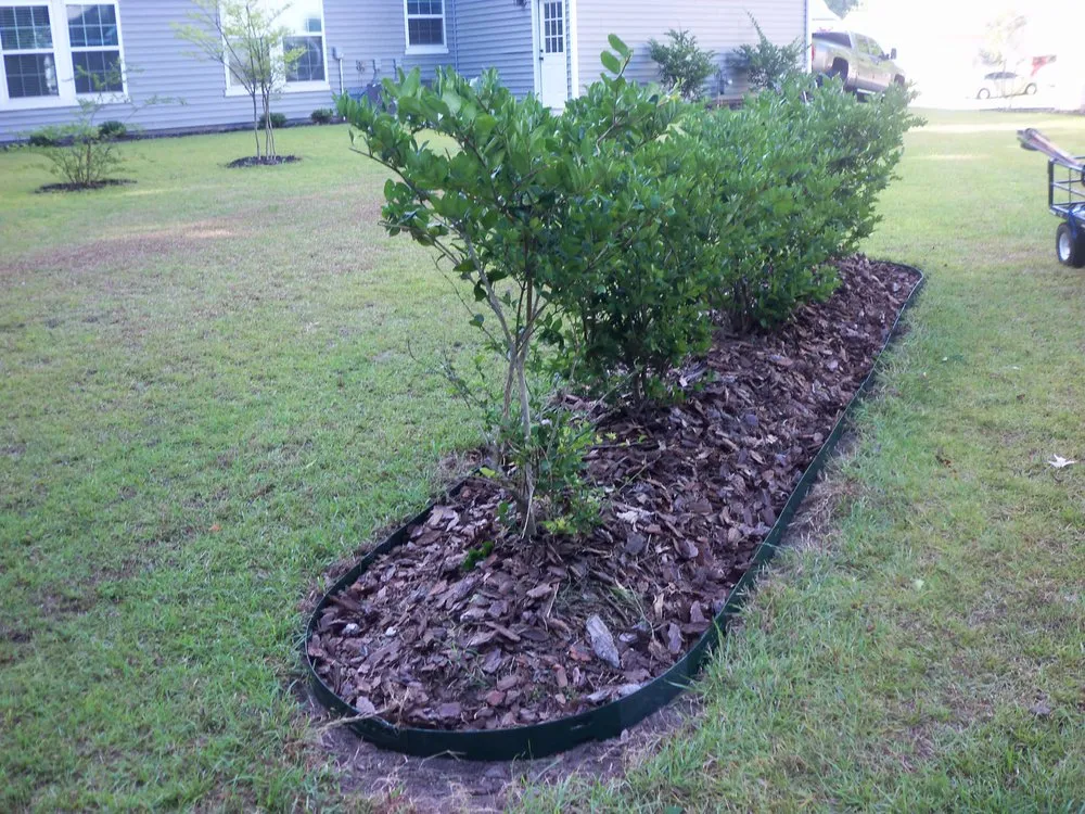 Local lawn care service for residential properties in Georgetown, SC by Georgetown SC Lawn Care