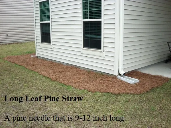 Custom landscaping services in Georgetown, SC by Georgetown SC Lawn Care