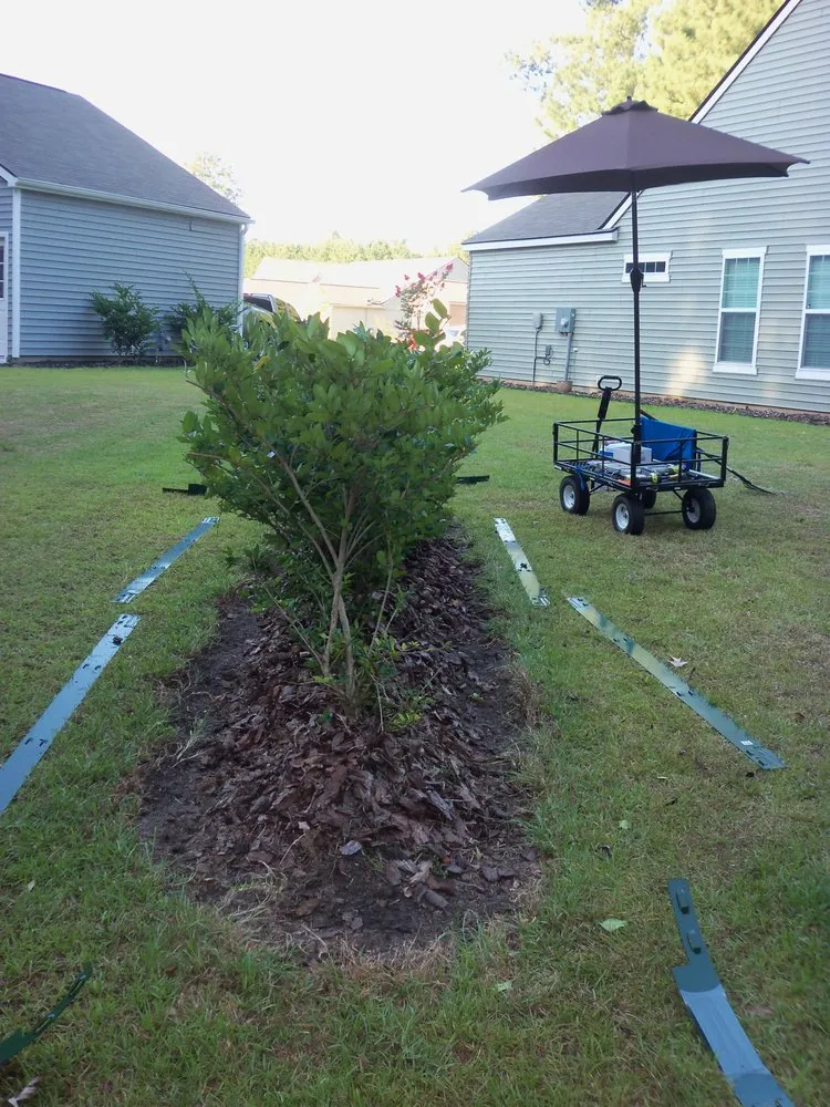 Top-rated outdoor landscaping experts serving Georgetown, SC - Georgetown SC Lawn Care