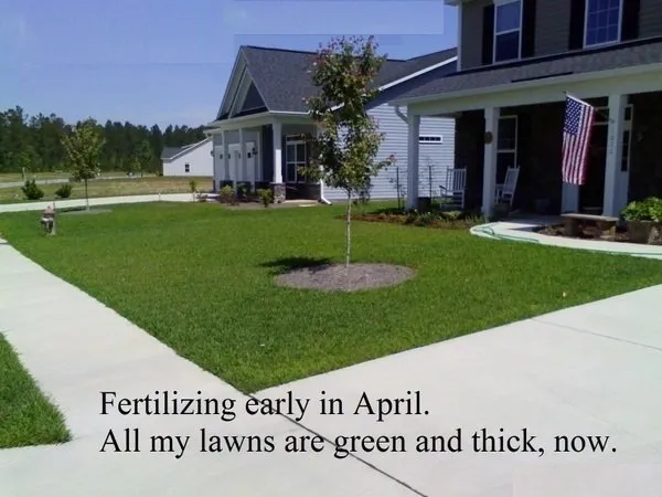Affordable residential landscaping experts serving Georgetown, SC - Georgetown SC Lawn Care
