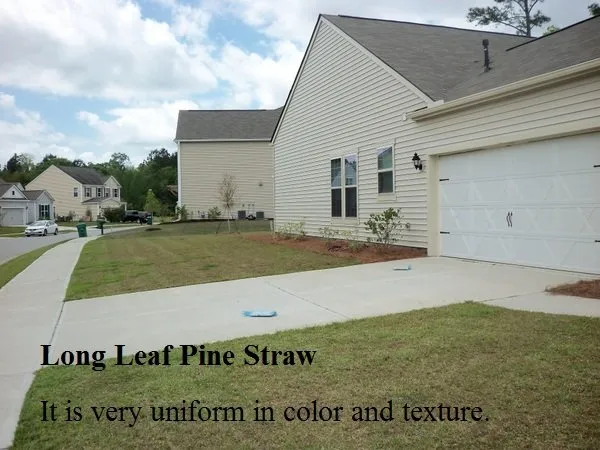 Expert yard cleanup service in Georgetown, SC - Georgetown SC Lawn Care