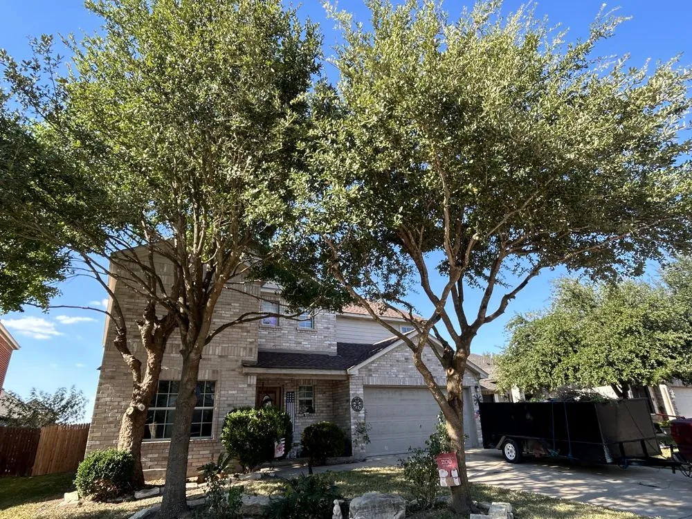 Trusted lawn care service experts serving Hutto, TX - Georgetown Tree Service