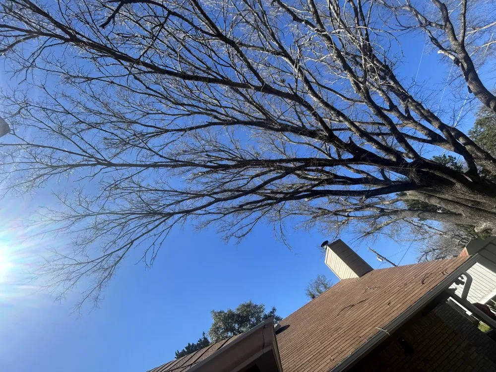 Top-rated outdoor landscaping in Hutto, TX by Georgetown Tree Service