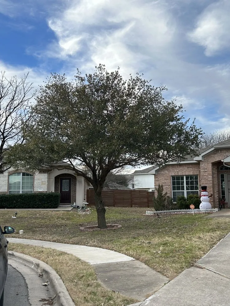 Professional residential landscaping experts serving Hutto, TX - Georgetown Tree Service