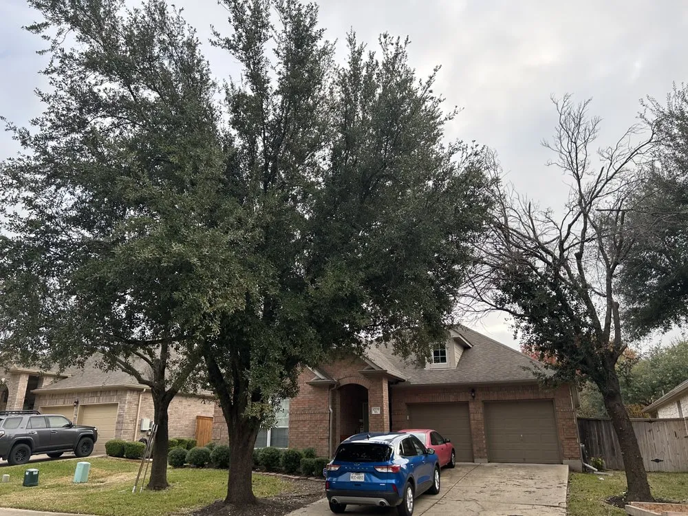 Trusted landscaping services for beautiful yards across Hutto, TX - Georgetown Tree Service