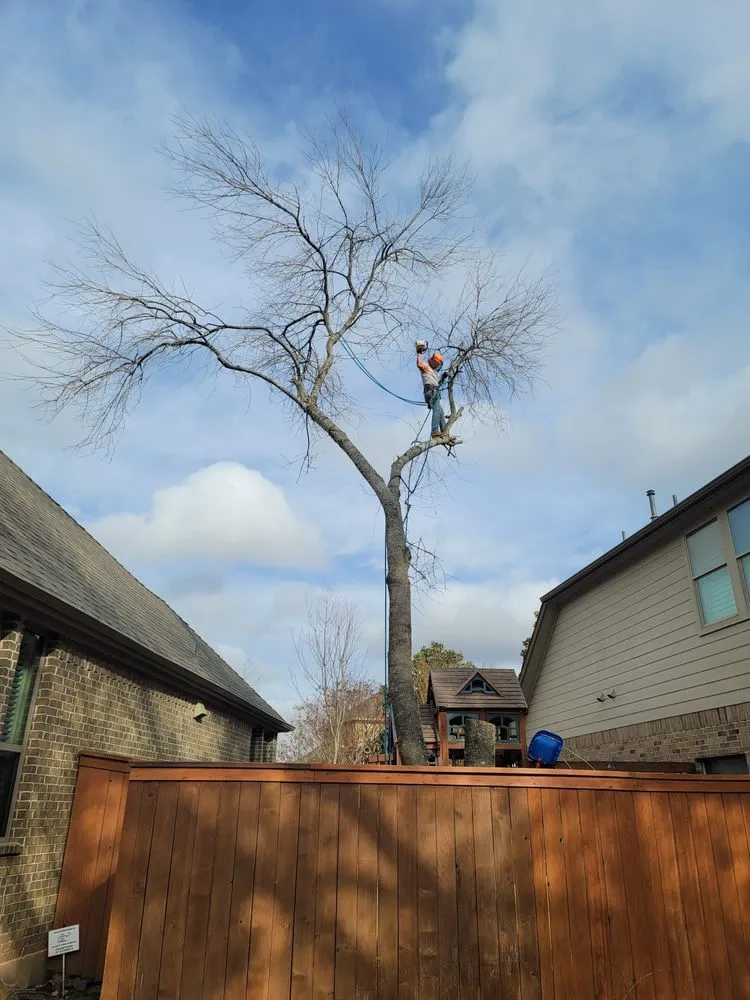 Reliable landscape design in Hutto, TX - Georgetown Tree Service