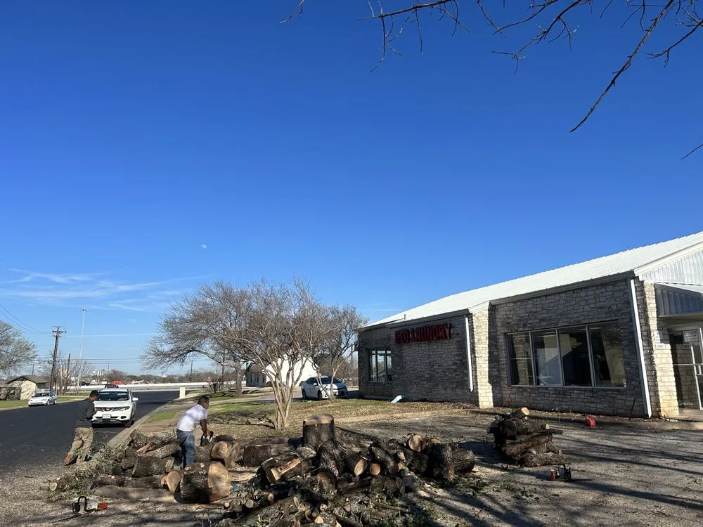 Trusted yard cleanup service near you across Hutto, TX - Georgetown Tree Service