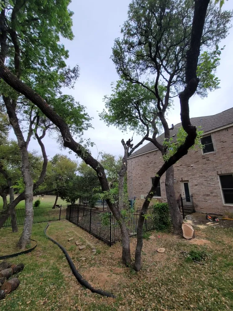 Custom outdoor landscaping in Hutto, TX by Georgetown Tree Service