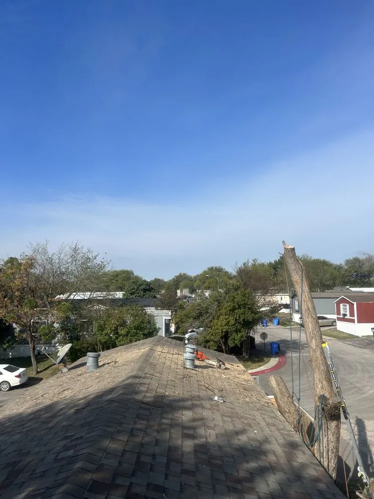 Professional landscape installation with custom design in Hutto, TX by Georgetown Tree Service