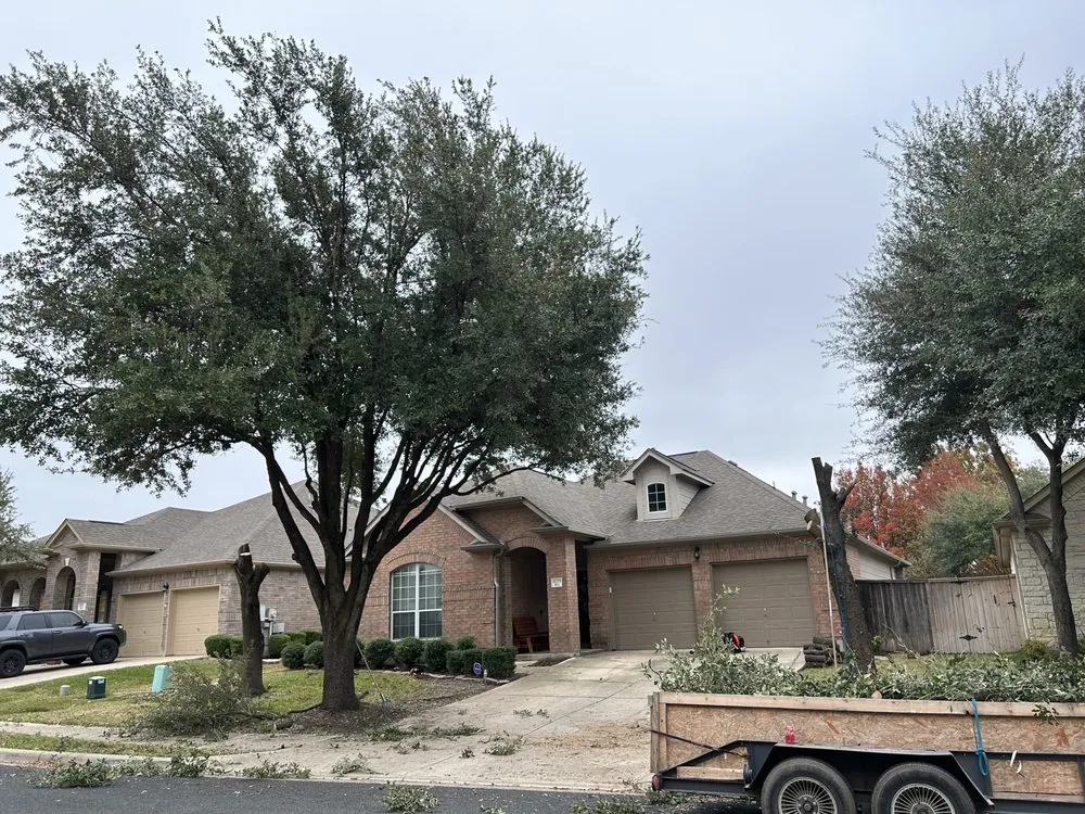 Affordable yard maintenance experts serving Hutto, TX - Georgetown Tree Service