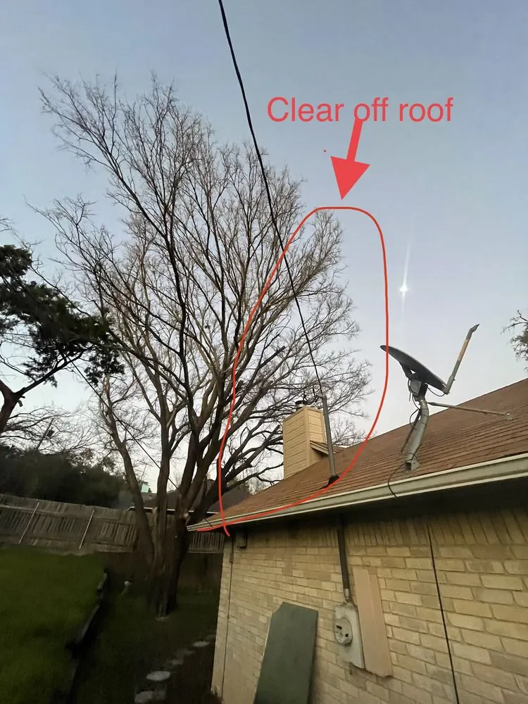 Top-rated yard maintenance for outdoor upgrades in Hutto, TX by Georgetown Tree Service