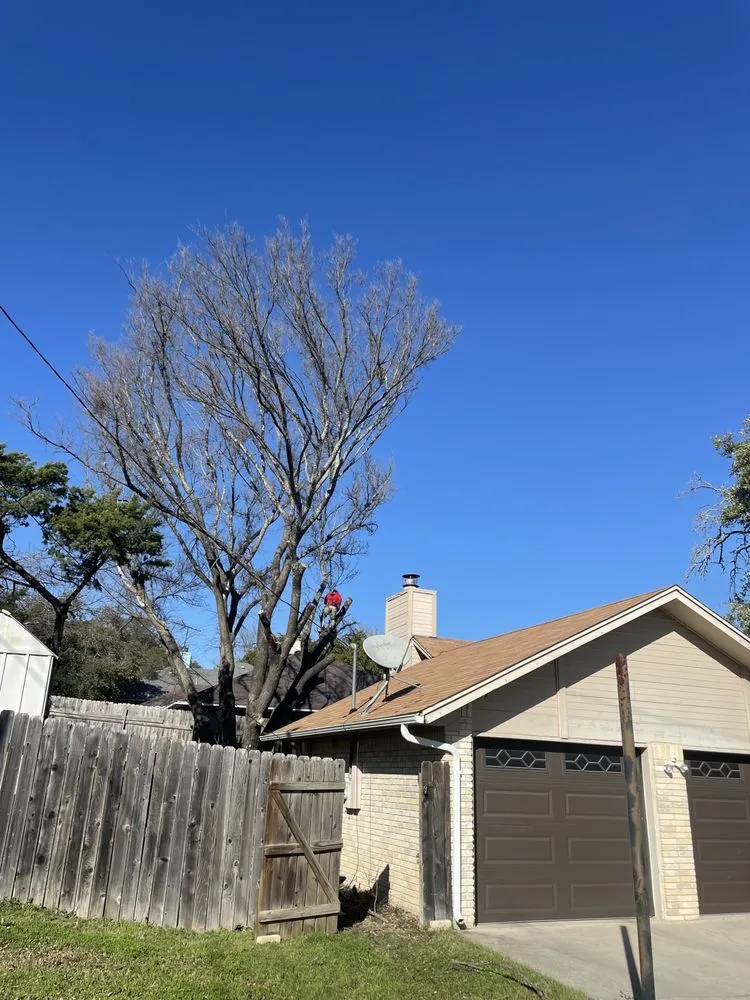 Trusted outdoor landscaping in Hutto, TX - Georgetown Tree Service