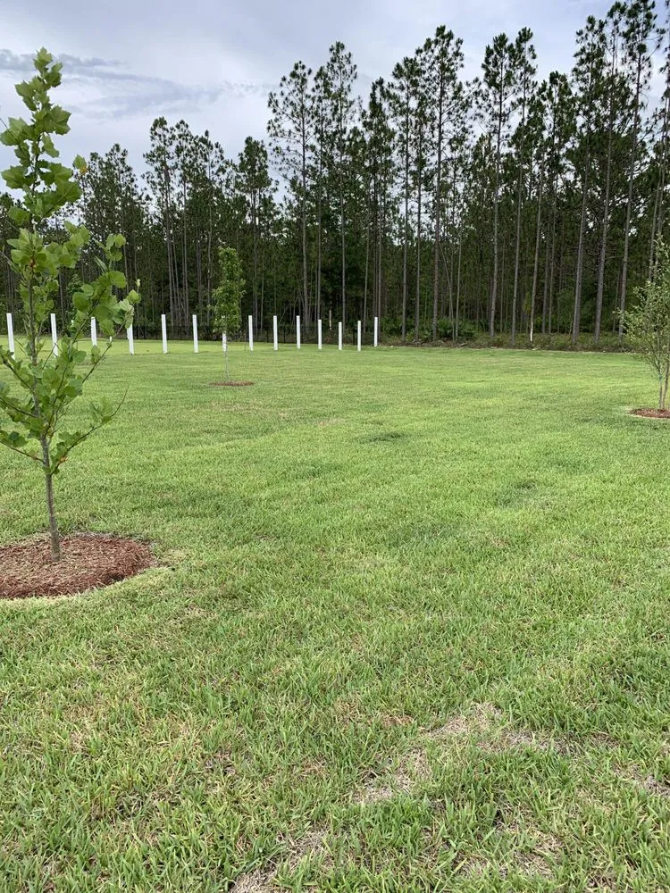 Trusted landscape installation for year-round maintenance across Lake Charles, LA - Georgia Boy Lawn Care